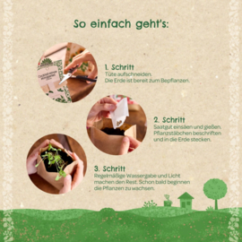 Mini tuin - Lavendel (biologisch)