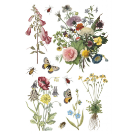 IOD Transfer Wilde Bloemen