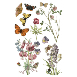 IOD Transfer Wilde Bloemen