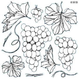 IOD stempels Grapes