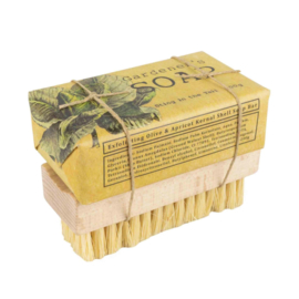 Blok Olijfzeep (190gr) & Nagelborstel