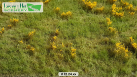 Meadow with marsh-marigolds