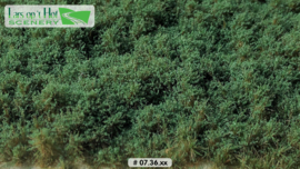 Bushes dark green - low