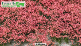 Flower tufts pink
