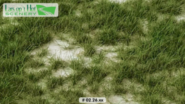 Grass XL (6+ mm)