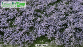 Bloemen lavendel