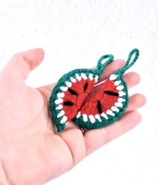 Watermelon sleutelhanger 🍉