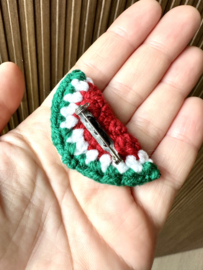 Watermelon broche 🍉