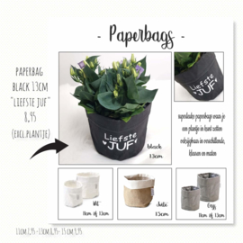 Paperbag bloempotje juf