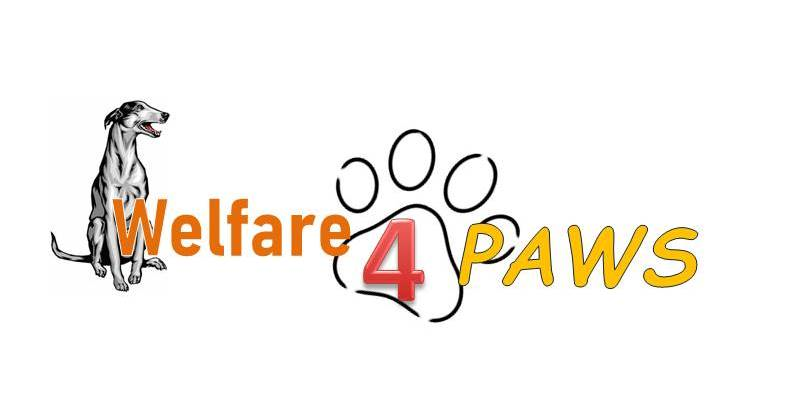 Welfare4Paws
