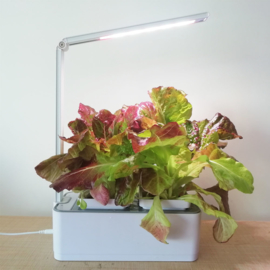 Smart Garden Small + Groeilamp en Hydroponic Systeem Click & Grow ACTIE!