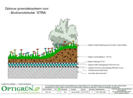 Biodiversiteitsdak - extra dik (pakketprijs/m²)