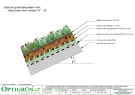 Sedumdak sterk hellend 15° - 35° (pakketprijs/m²)