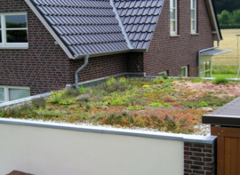 Biodiversiteitsdak (pakketprijs/m²)