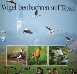 Vögel beobachten auf Texel