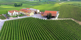 Monte del Fra Custoza 2022  |  Veneto