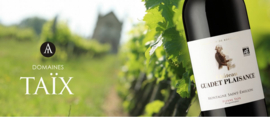 Château Guadet-Plaisance 2020 | Montagne Saint Emilion