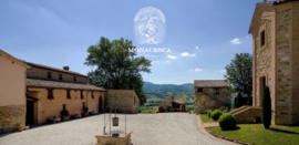 Verdicchio di Matelica 2021 | Marche