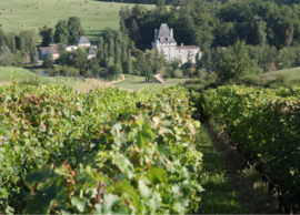 Château L'Isle Fort 2016