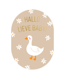 Wenskaart | Geboorte | Hallo lieve baby