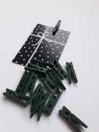 Knijper | groen | 2,5 cm | 10 stuks