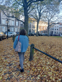 Tas | Kersthuisjes