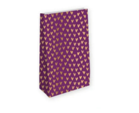 Blokbodemzak M | Paarse hartjes