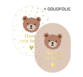 Stickers | Geboorte | Hoera een baby | 10 stuks