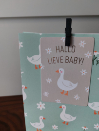 Kadokaart | Hallo lieve baby!