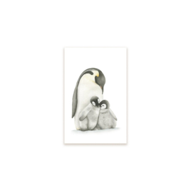 Kadokaart | Pinguïns