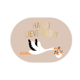 Stickers | Geboorte | Hallo lieve baby + ooievaar | 10 stuks