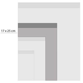 Inpakzakje L | Baby gans