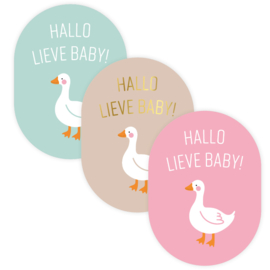 Stickers | Geboorte | Hallo lieve baby | 10 stuks