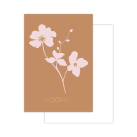 Cadeauset | Colorful