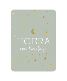 Ansichtkaart | Geboorte | Hoera een tweeling!