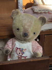 HMA Whimsical Bear 🎀