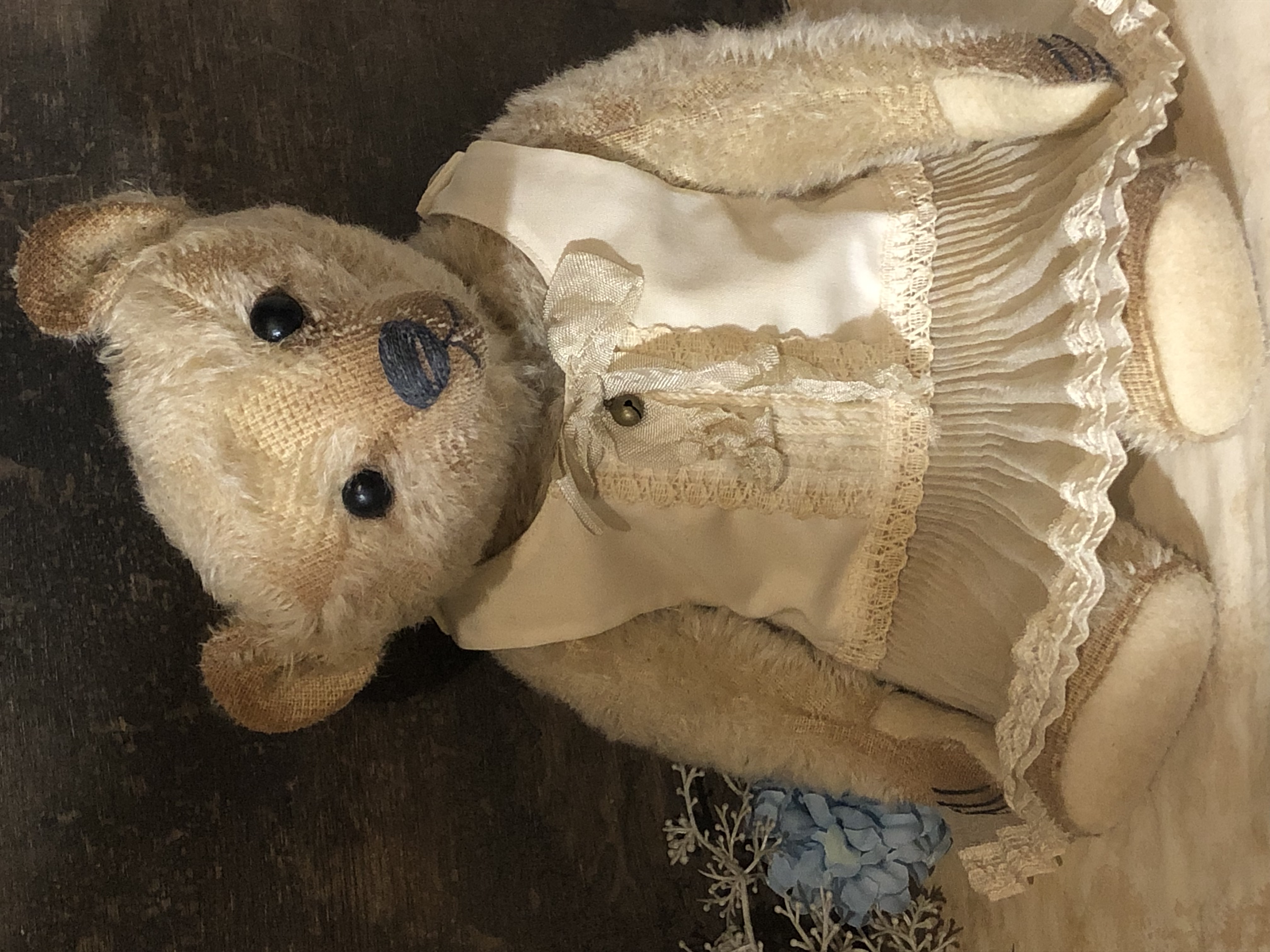 Visit the HMA Teddy bears and bear friends