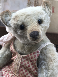 Hug Me Again Collectible bear "Douglas" standing about 11 inch tall.