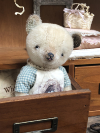 HMA Whimsical Bear 🪺