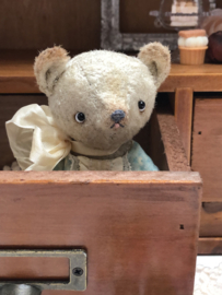 HMA Whimsical Bear 🎀