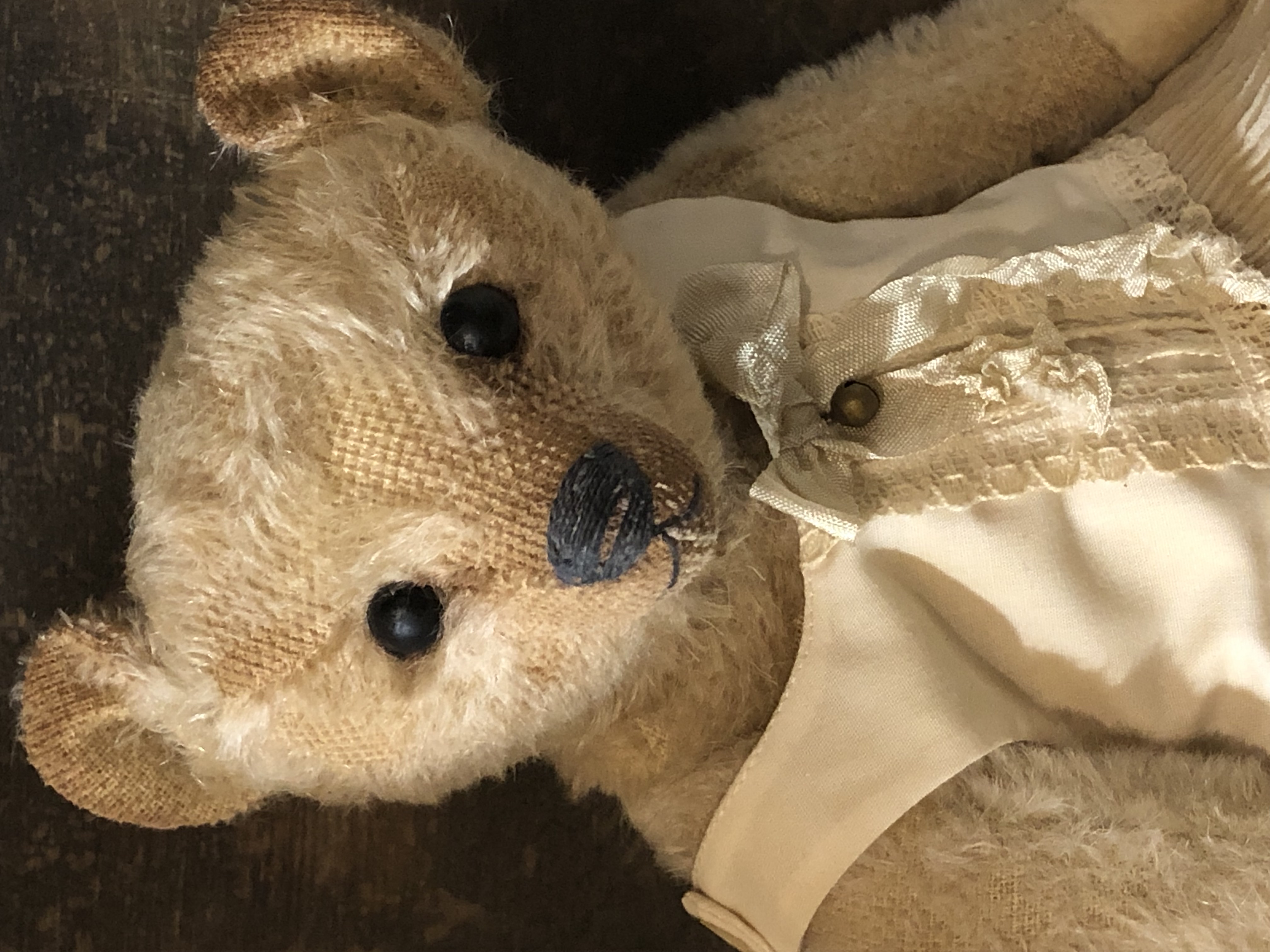 Hug Me Again Collectible bear "Lucy" standing about 11 inch tall.