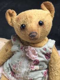 Hug Me Again Collectible bear "Mientje" standing about 9 inch tall.