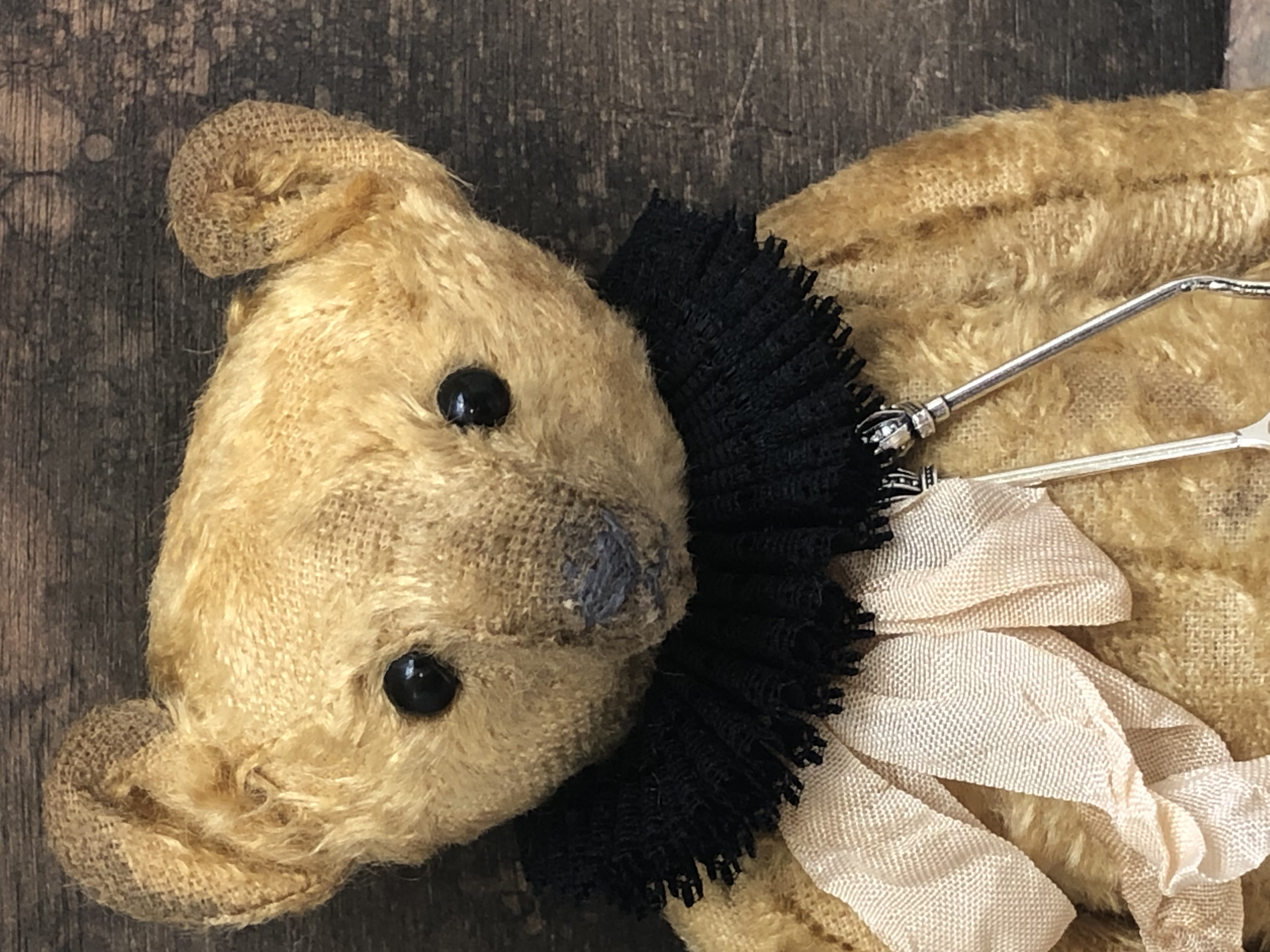 Visit the HMA Teddy bears and bear friends