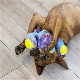 Kong woozles monster