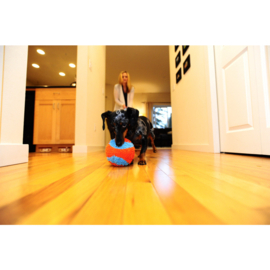Chuckit indoor Ball 12 cm