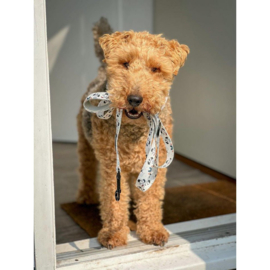 Riem Furry friends