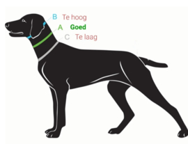 Paracord halsband blauw maat M