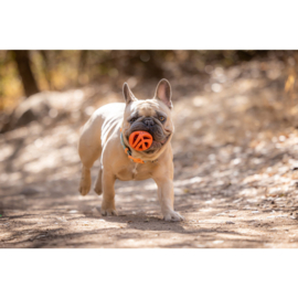 Chuckit air fetch ball M