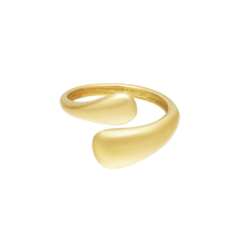 RING TWIST - GOUD