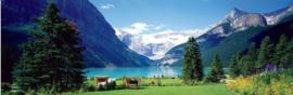 Eurographics 1456 - Lake Louise Canadian Rockies - 1000 stukjes  Panorama